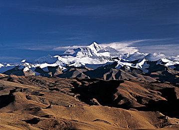 《巫师4》希里争议 CDPR被指使用机器人针对批评者